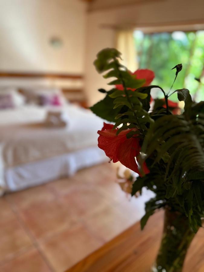 Hotel Ohiro Χάνγκα Ρόα Εξωτερικό φωτογραφία